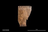 藏品(雕刻骨片殘件)的圖片